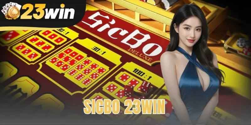 Sicbo 23Win – Hướng Dẫn Luật Chơi Cho Người Mới 2026